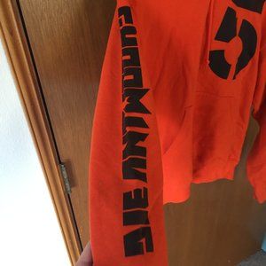 Die Antwoord tour 2016 hoodie